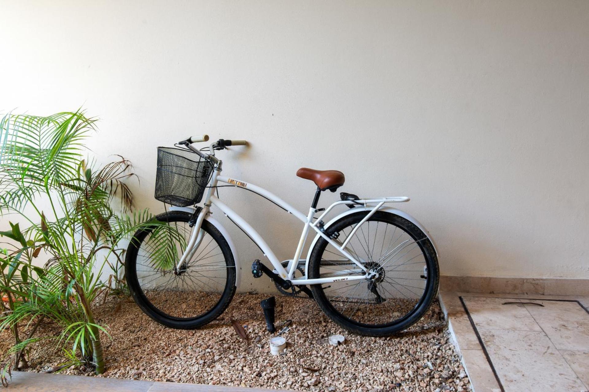 Luxurious Penthouse With Jungle View & Private Pool Appartement Tulum Pueblo Buitenkant foto